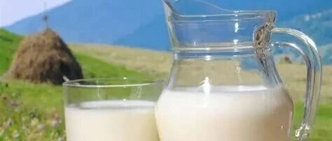 乳業(yè)透視：分化陣痛中轉(zhuǎn)型，價值升維里突圍