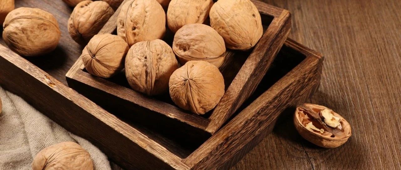 SIAL中餐廳今日正式開(kāi)賽！感受傳統(tǒng)魅力，品味中餐經(jīng)典！