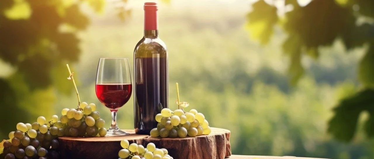 酒水休食生鮮一應俱全 9月SIAL 西雅展秋冬熱銷爆品等你來采購