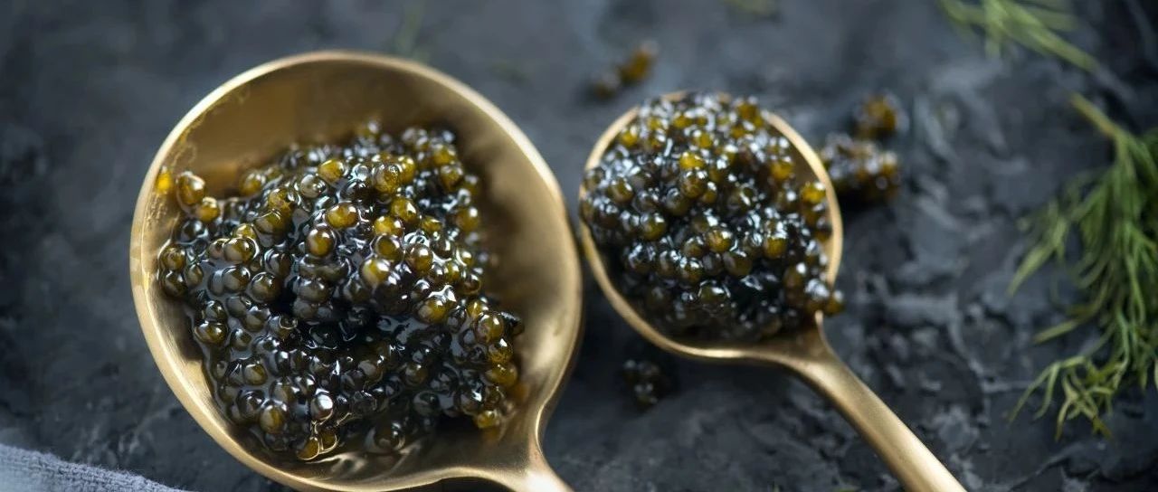 從生鮮、健康飲品到方便食品、調(diào)味品，一站式選購不容錯過｜上新品了！西雅