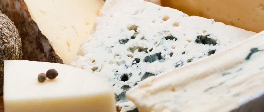 在社媒越來越火的奶酪，未來還能走多遠